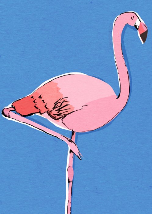 Greetz | Verjaardagskaart | flamingo