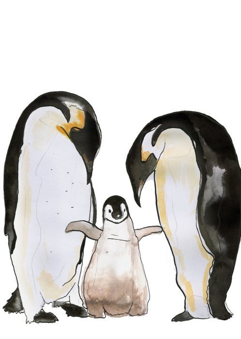 Marie Bodie | Geboortekaart | pinguins