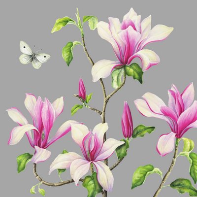 Grijze kaart met vlinder en roze bloemen