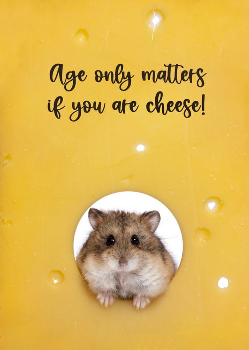Catchy Images | Verjaardagskaart | hamster