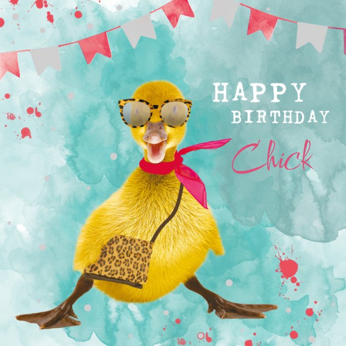 TMS | Verjaardagskaart | Eend | Chick