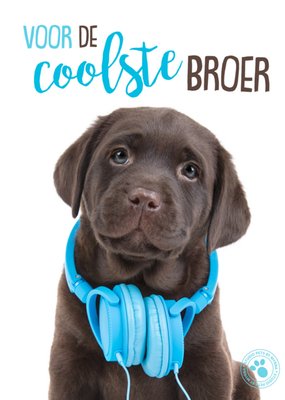 Studio Pets | Broer en zus dag | Cool | Hond