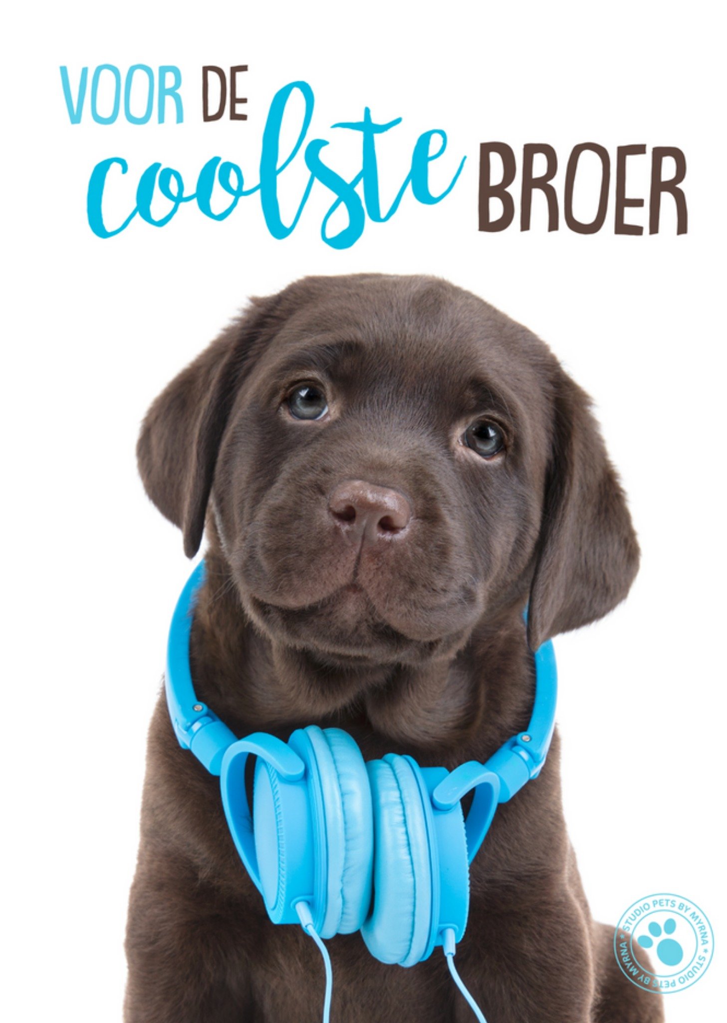 Studio Pets - Broer en zus dag - Cool - Hond