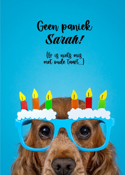 Catchy Images | Verjaardagskaart | Hond