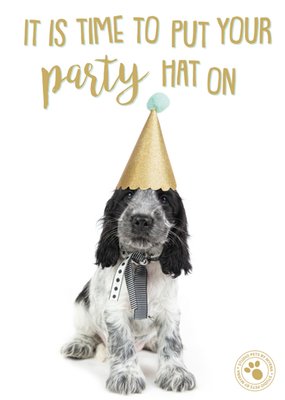 Studio Pets | Nieuwjaarskaart | Party hat