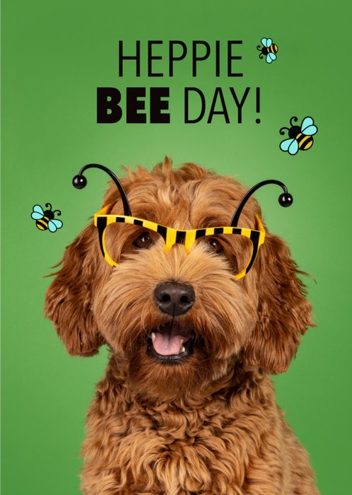 Catchy Images | Verjaardagskaart | Heppie Bee Day!