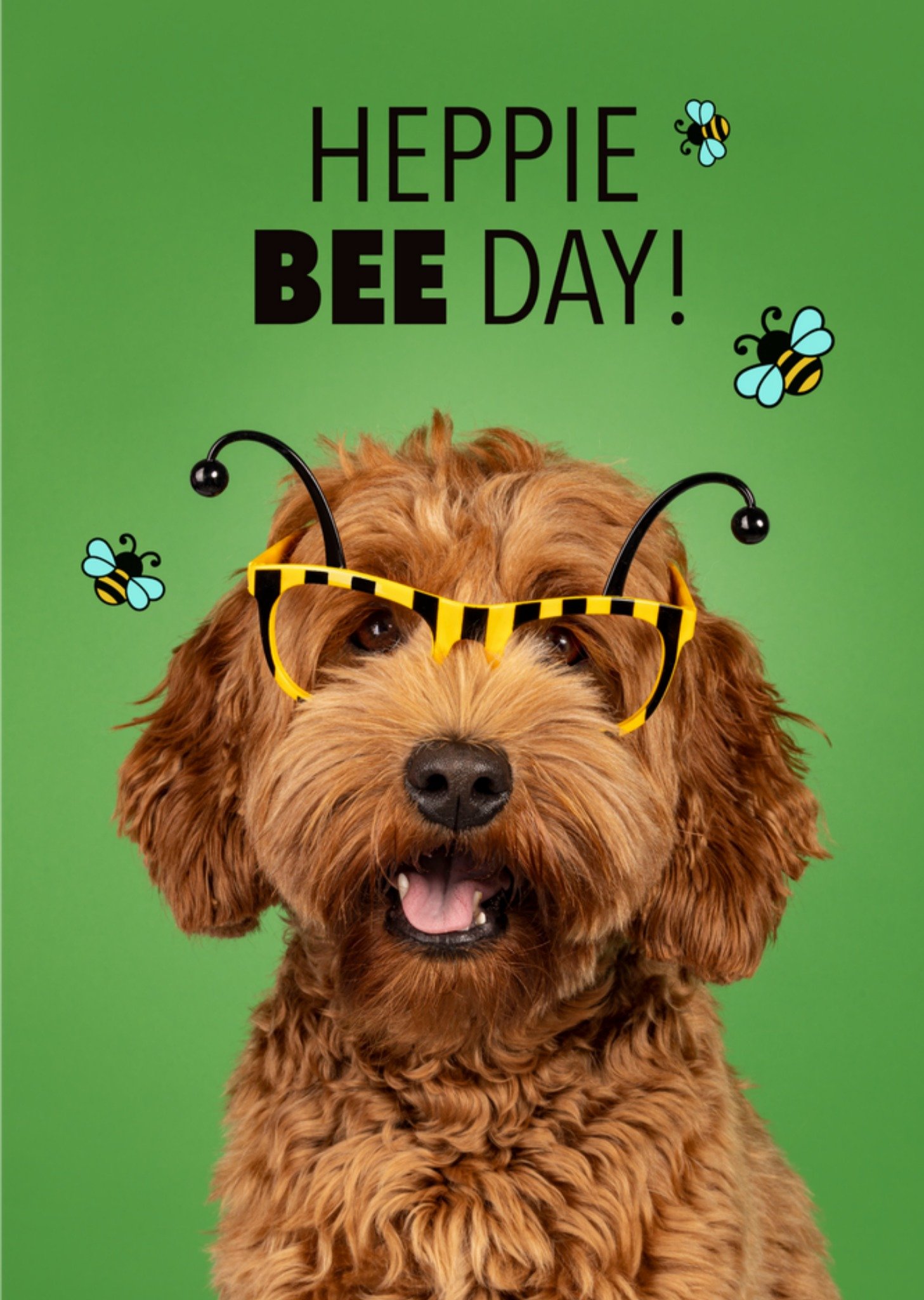 Catchy Images - Verjaardagskaart - Heppie Bee Day!