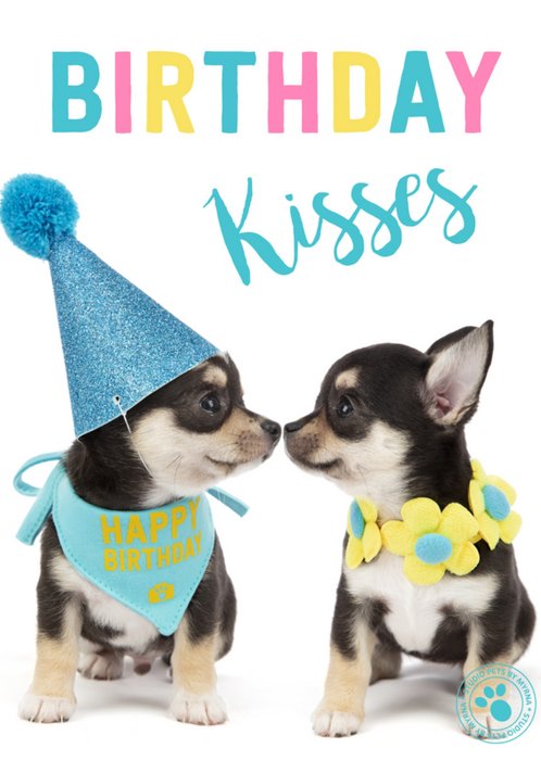 Studio Pets | Verjaardagskaart | kisses