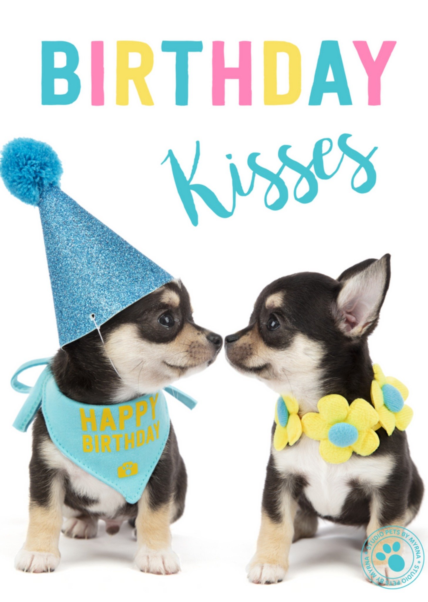 Studio Pets - Verjaardagskaart - kisses