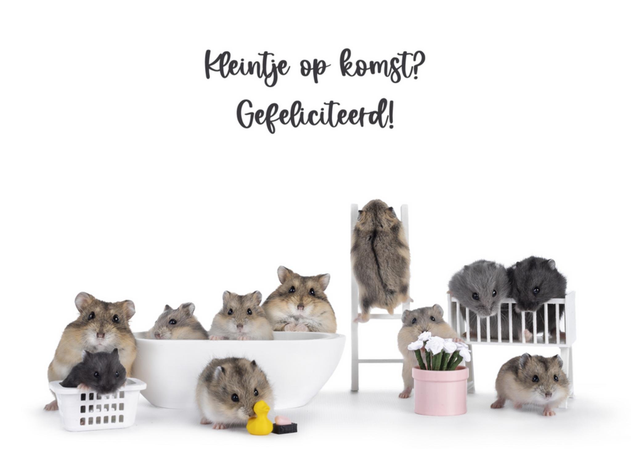 Catchy Images - Zwangerschapskaart - hamsters