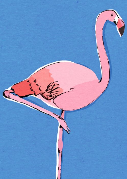Greetz | Verjaardagskaart | flamingo