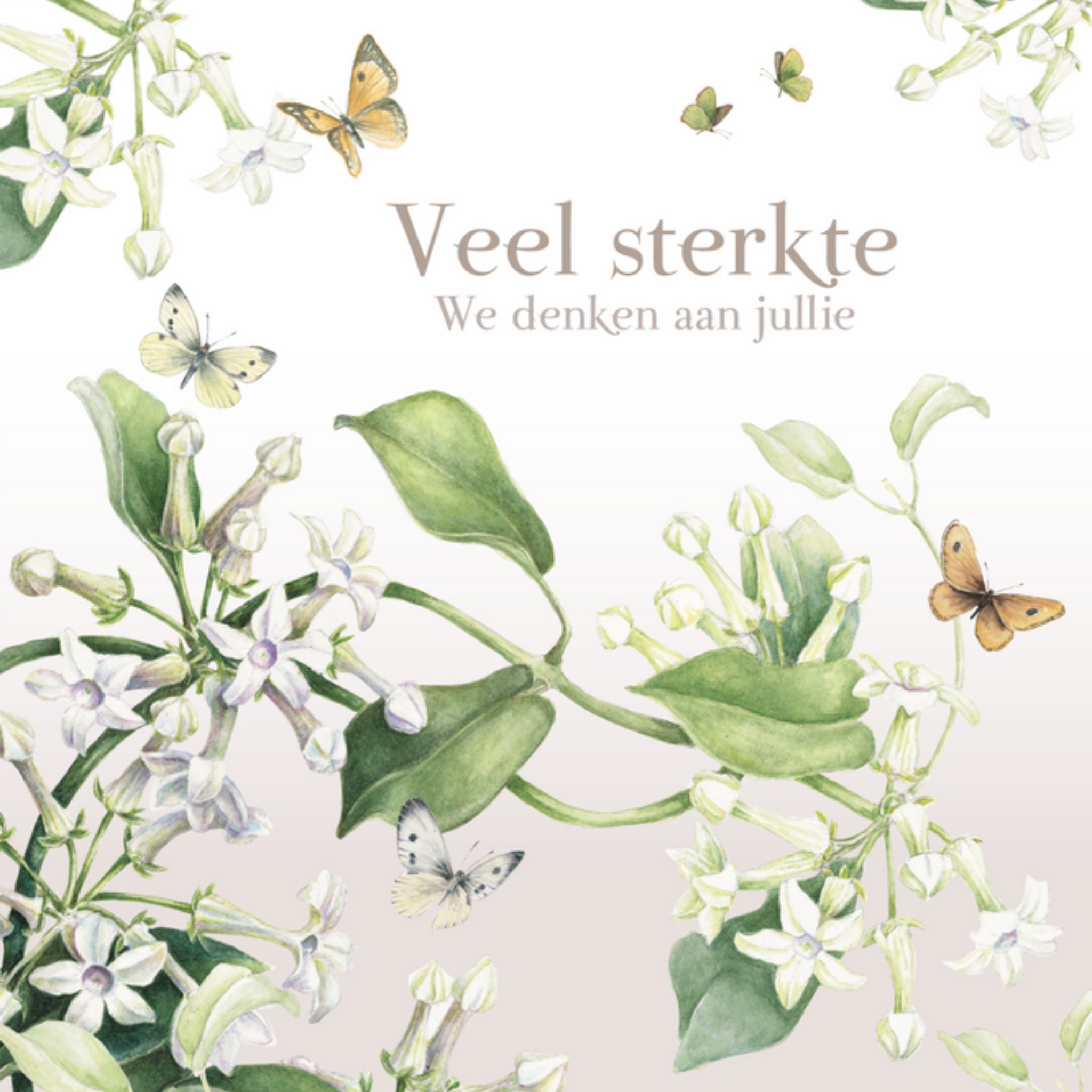 Janneke Brinkman - Sterkte kaart - vlinders