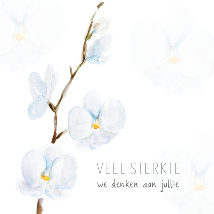 Michelle Dujardin | Condoleance | Witte orchidee