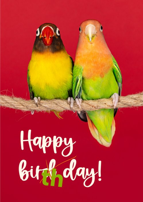 Catchy Images | Verjaardagskaart | Vogels