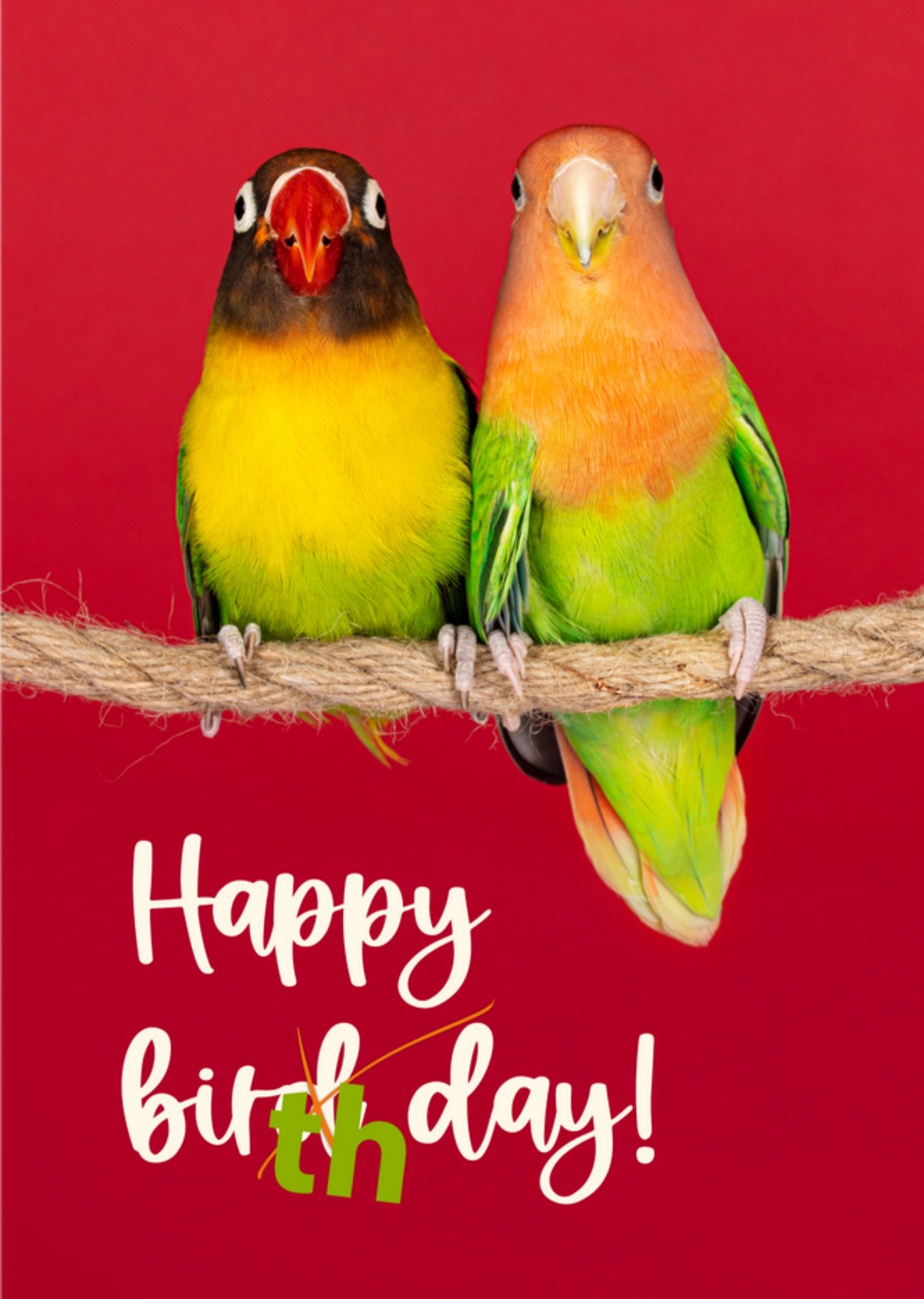 Catchy Images - Verjaardagskaart - Vogels