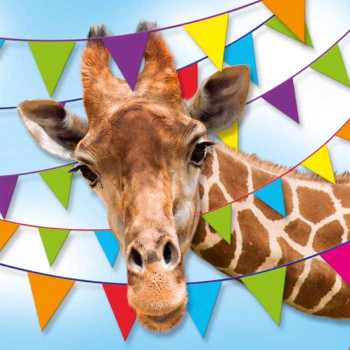 TMS | Verjaardagskaart | Giraf