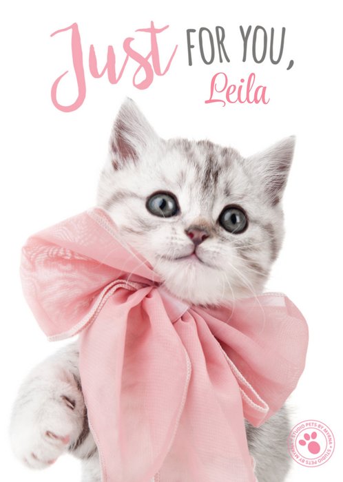 Liefdeskaart | Studio Pets | Schattig | Kitten