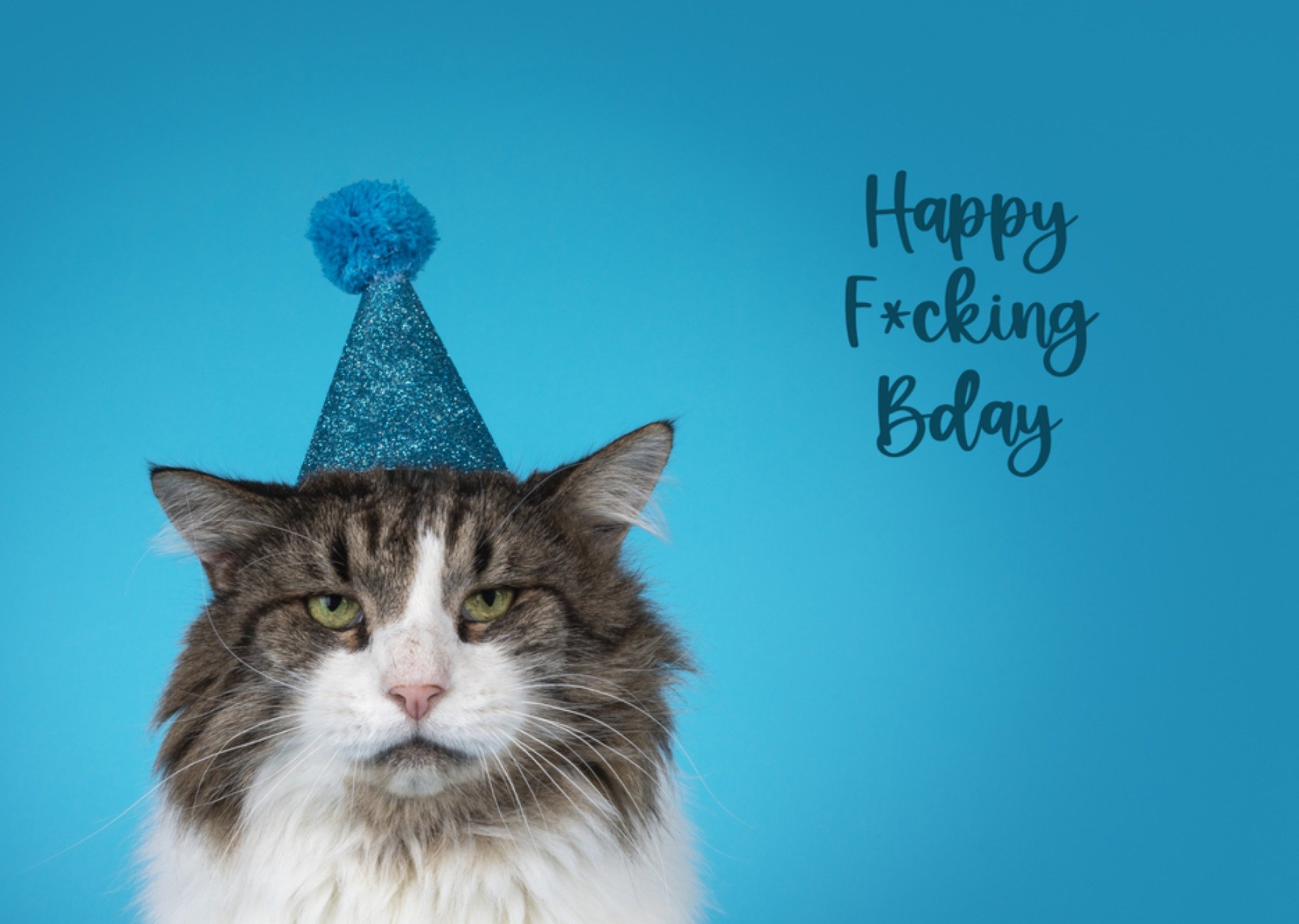 Catchy Images - Verjaardagskaart - grapppig - kat