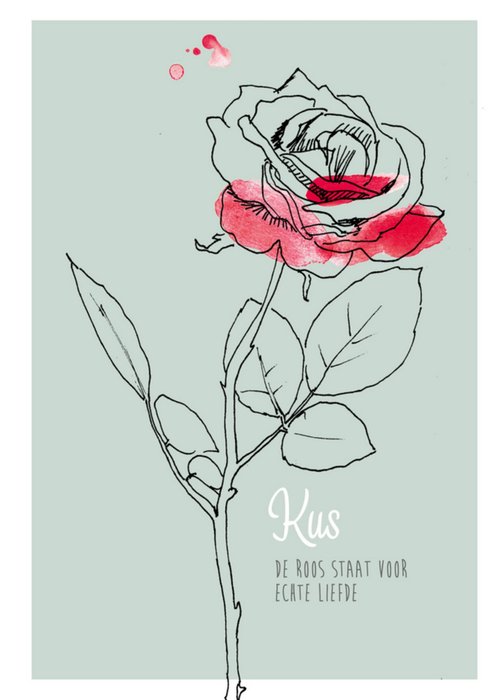 Veer&Moon | Liefdeskaart | Roos staat voor echte liefde