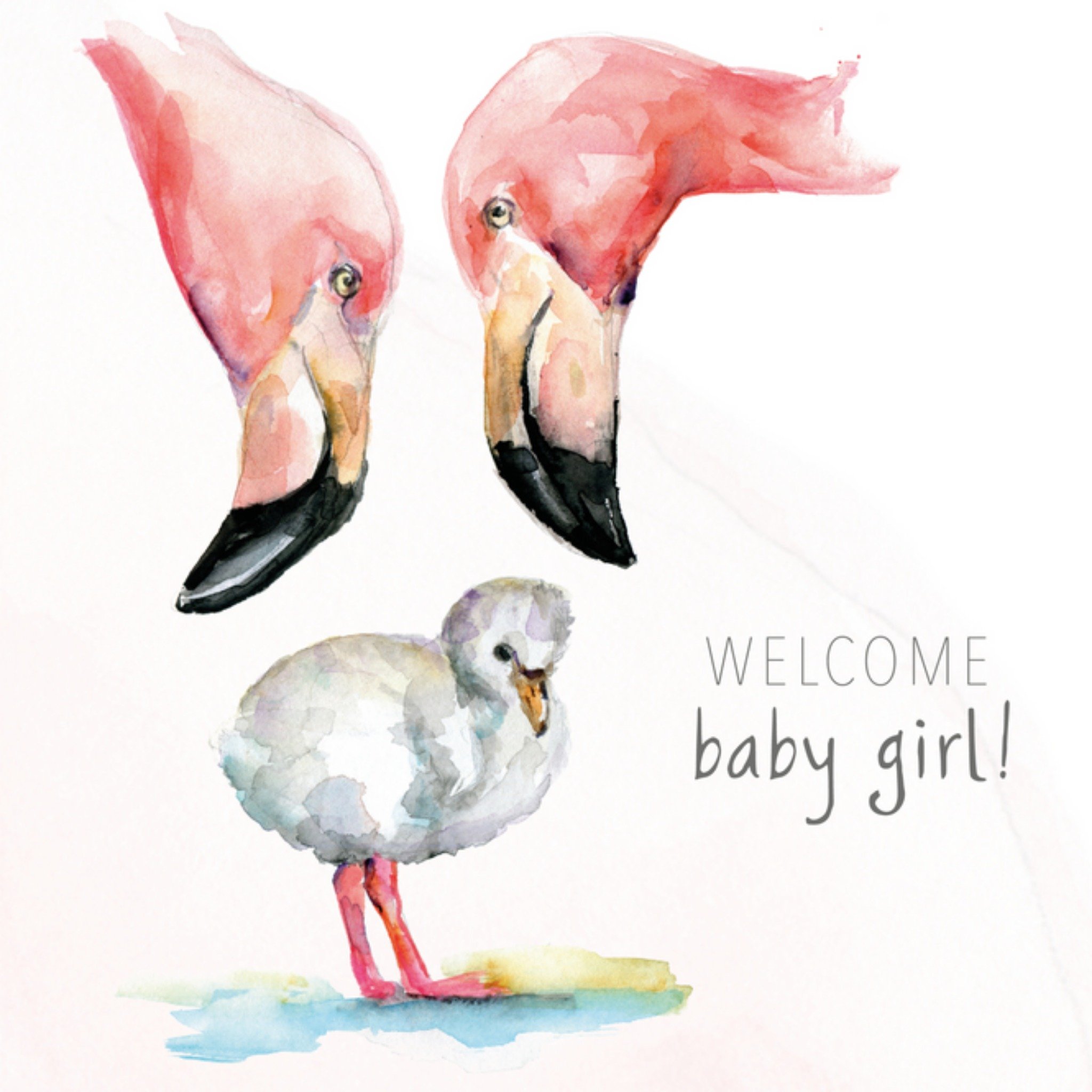 Michelle Dujardin - Geboortekaart - Flamingo