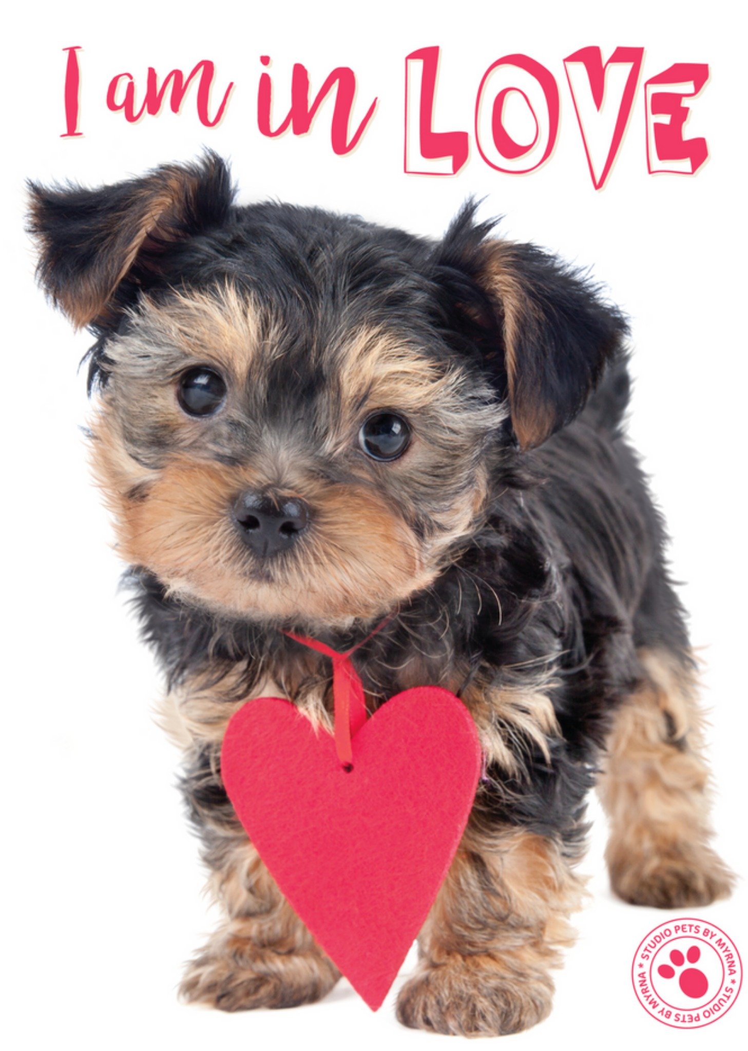 Studio Pets - Liefdeskaart - hondje