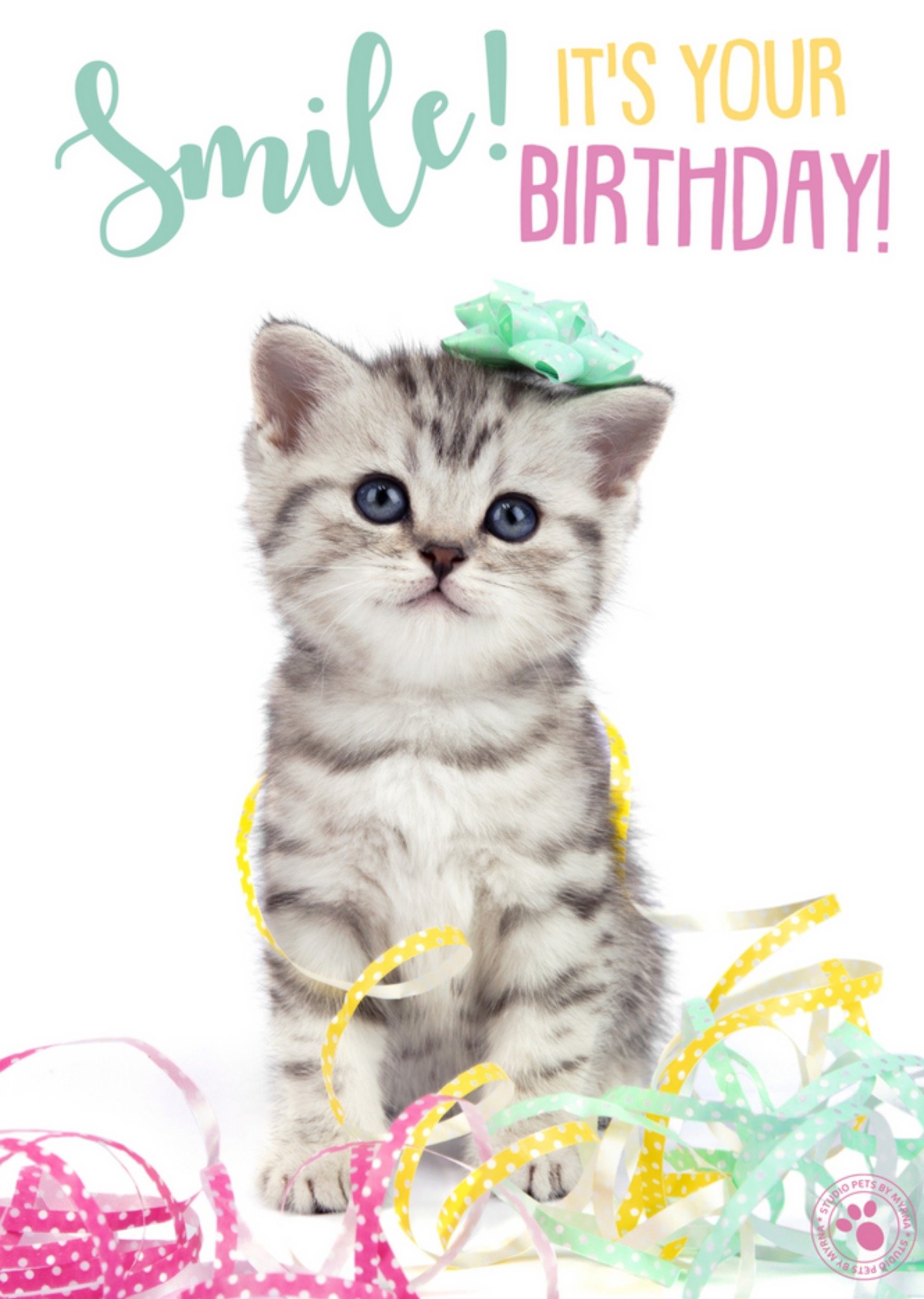Studio Pets - Verjaardagskaart - kat - confetti