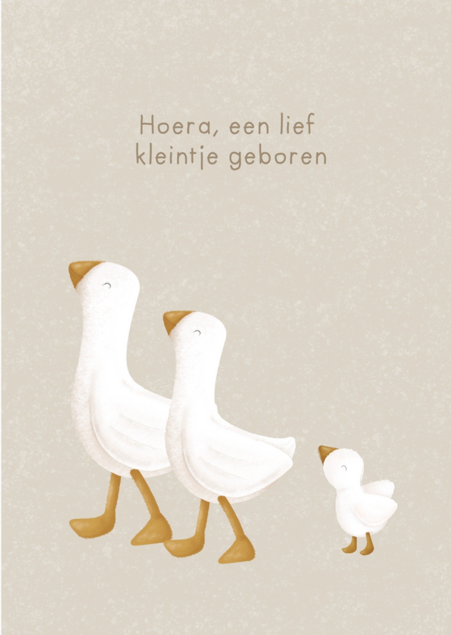 Little Dutch - Geboortekaart - Opa en Oma
