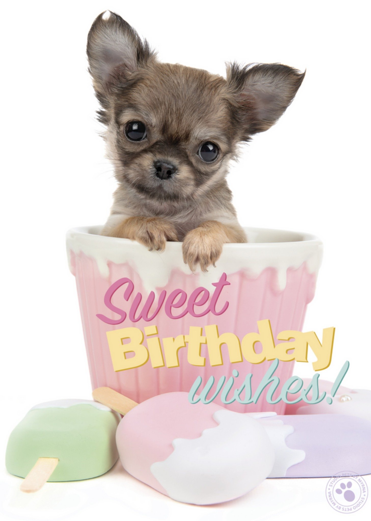Studio Pets - Verjaardagskaart - hondje - ijsje
