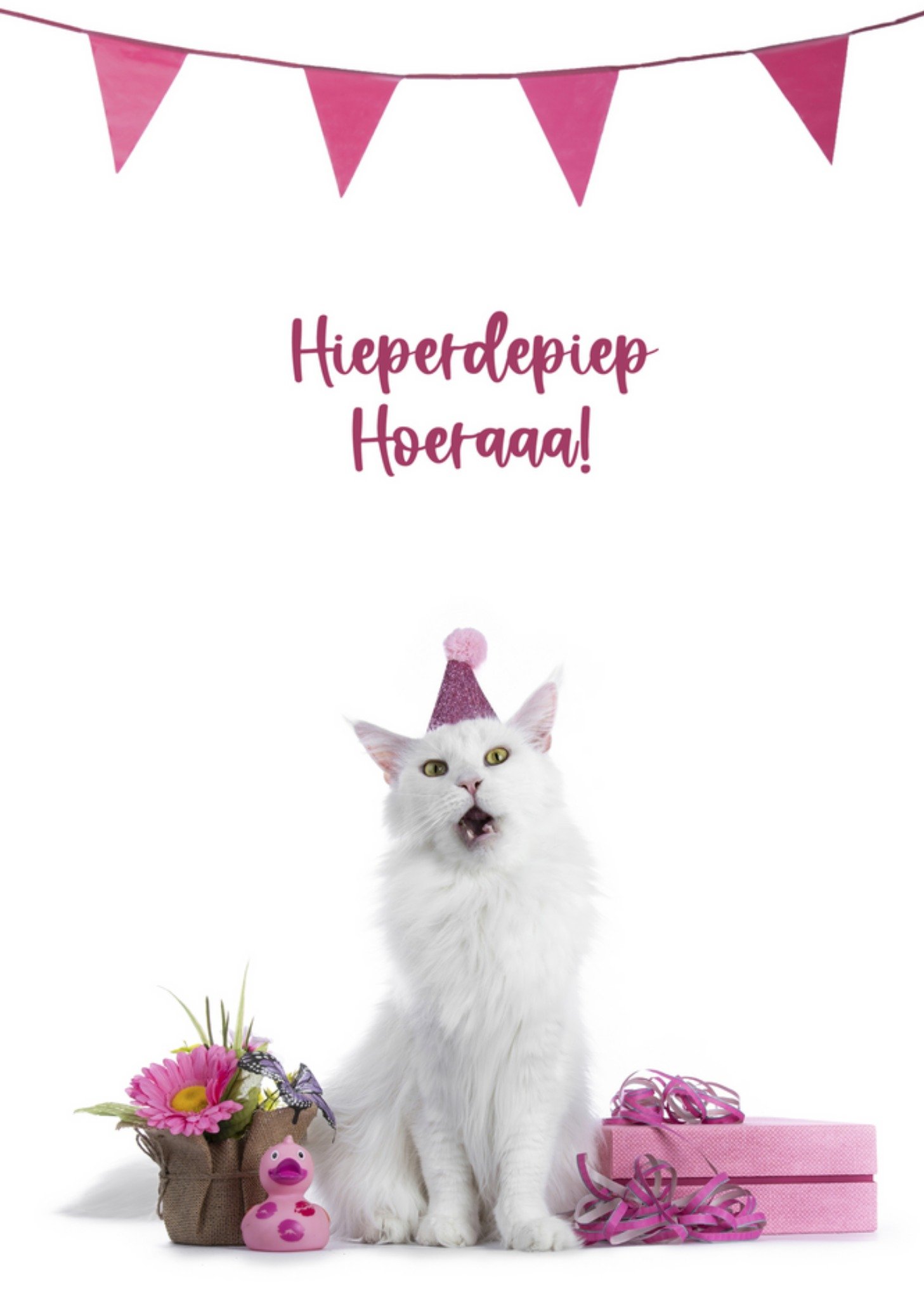 Catchy Images - Verjaardagskaart - kat - slingers