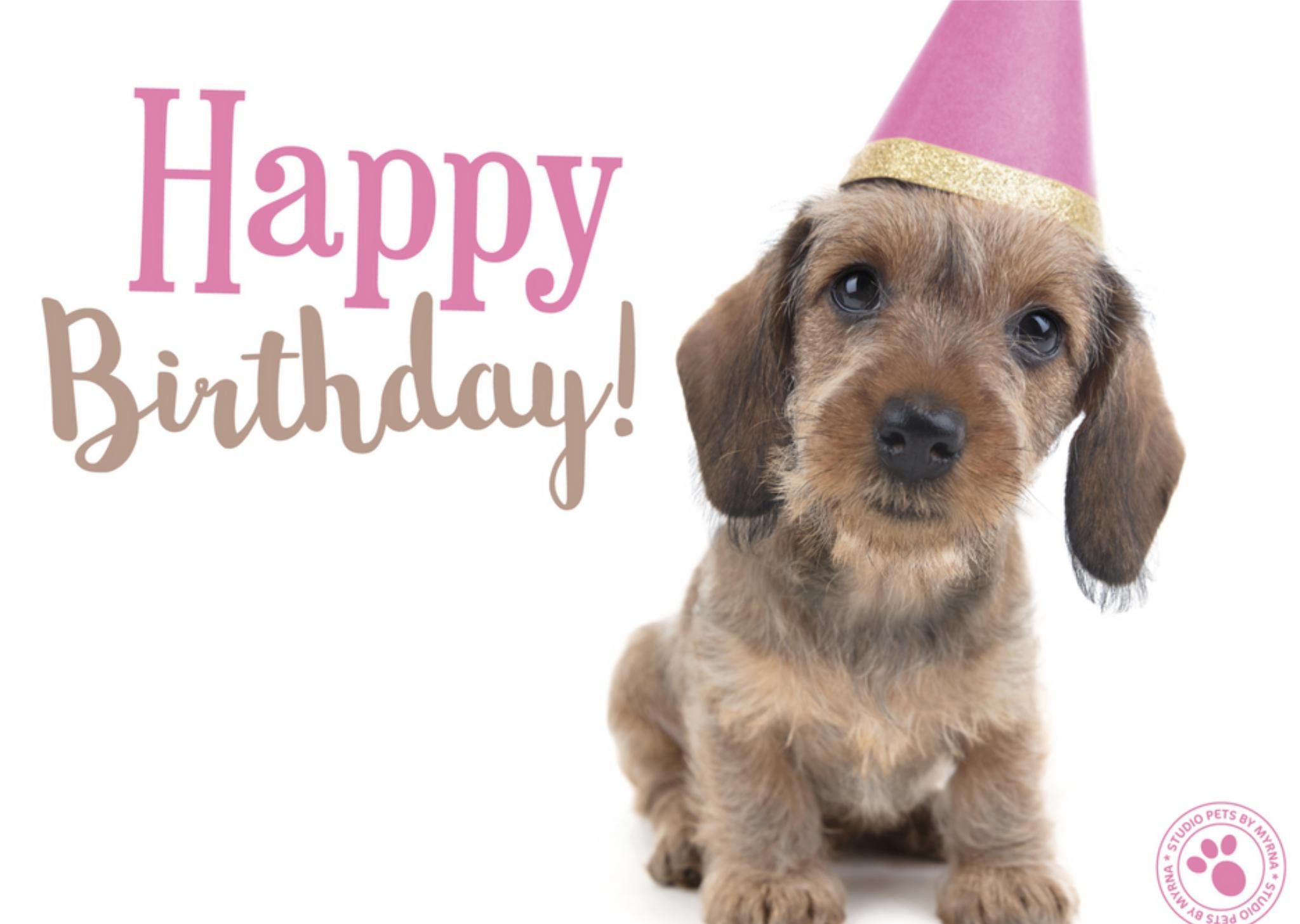 Verjaardagskaart - Studio Pets - Dieren