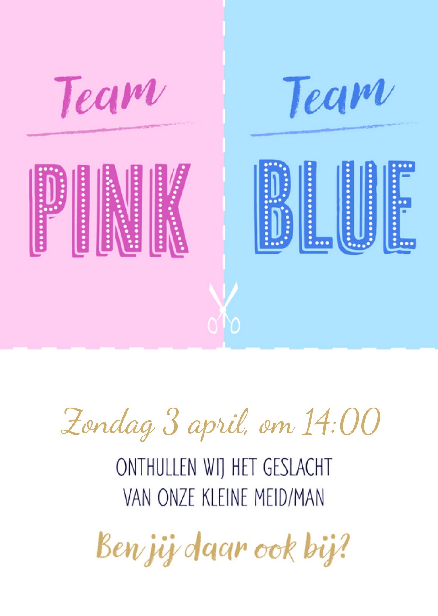 Gender Reveal - team blue or pink