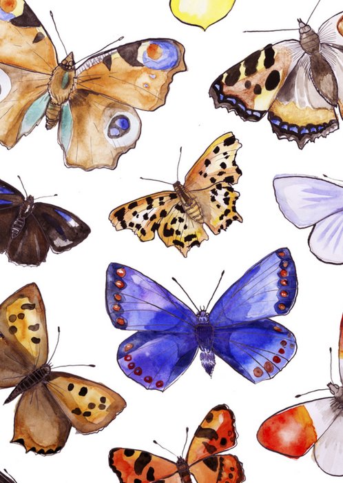 Marie Bodie | Valentijnskaart | vlinders