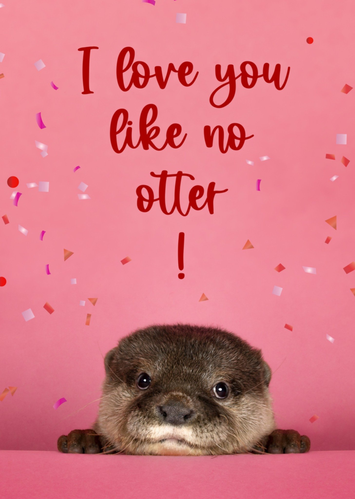 Catchy Images - Valentijnskaart - love you like no otter