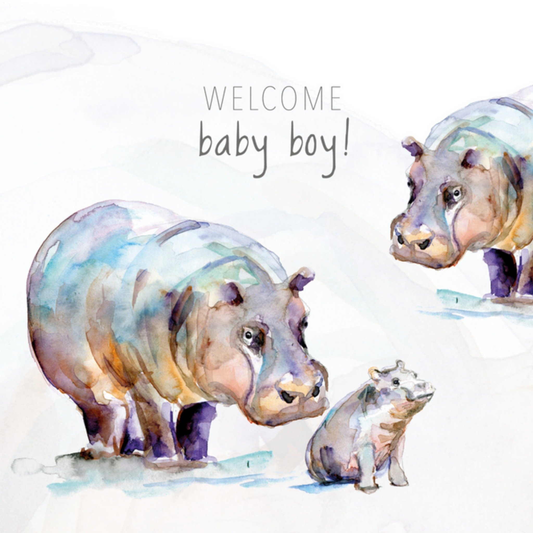 Michelle Dujardin - Geboortekaart - Nijlpaarden
