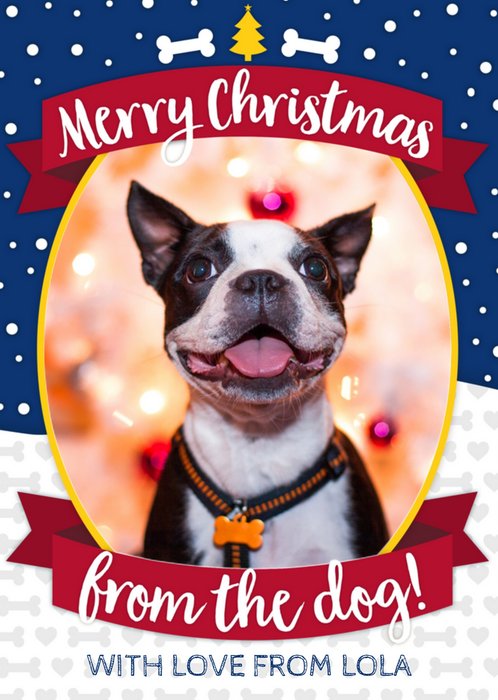 Greetz | Kerst | Hond | Foto