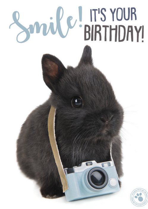 Verjaardagskaart | Studio Pets | Dieren