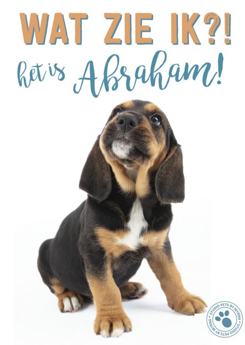 Studio Pets | Verjaardagskaart | abraham