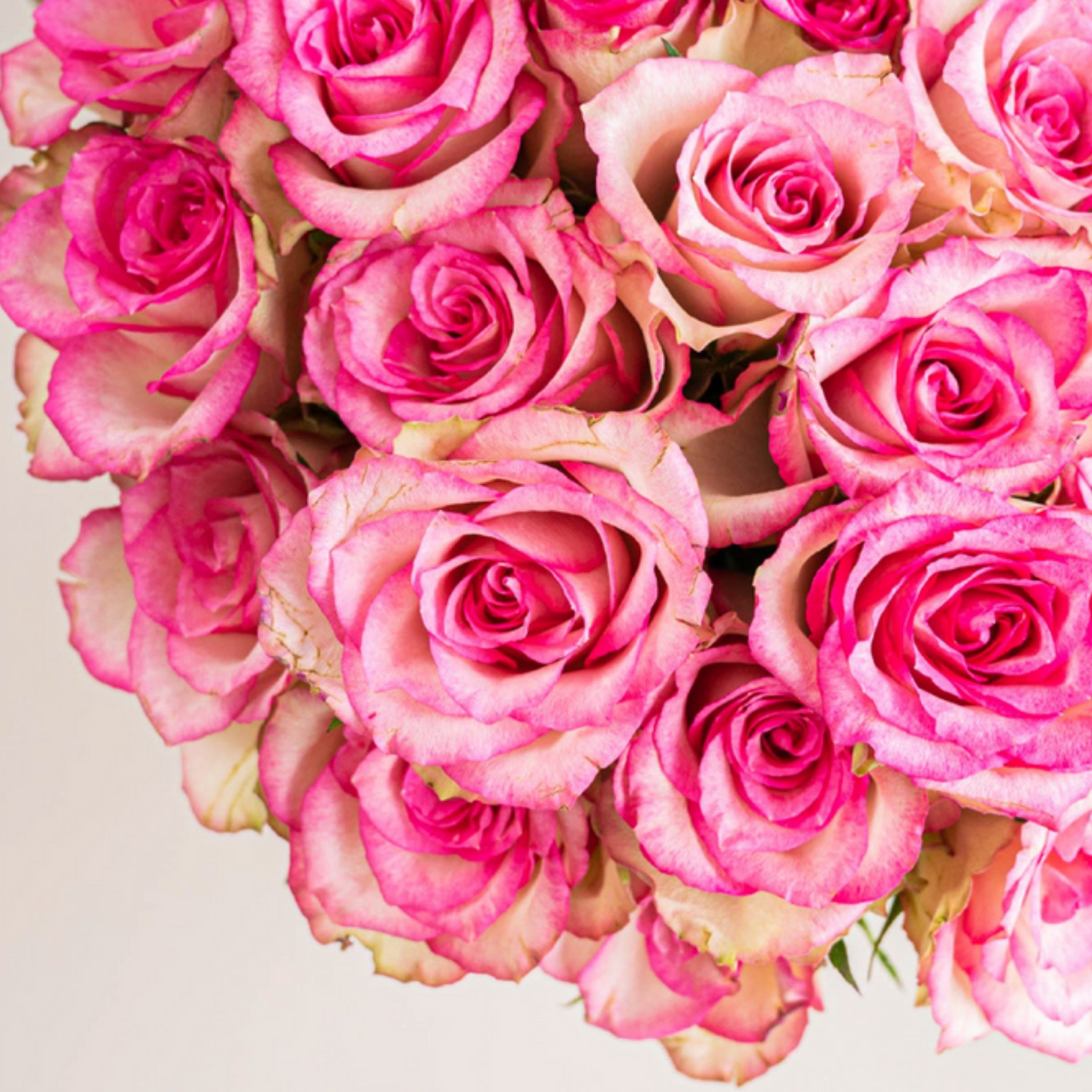 Valentijnskaart - rozen - roze