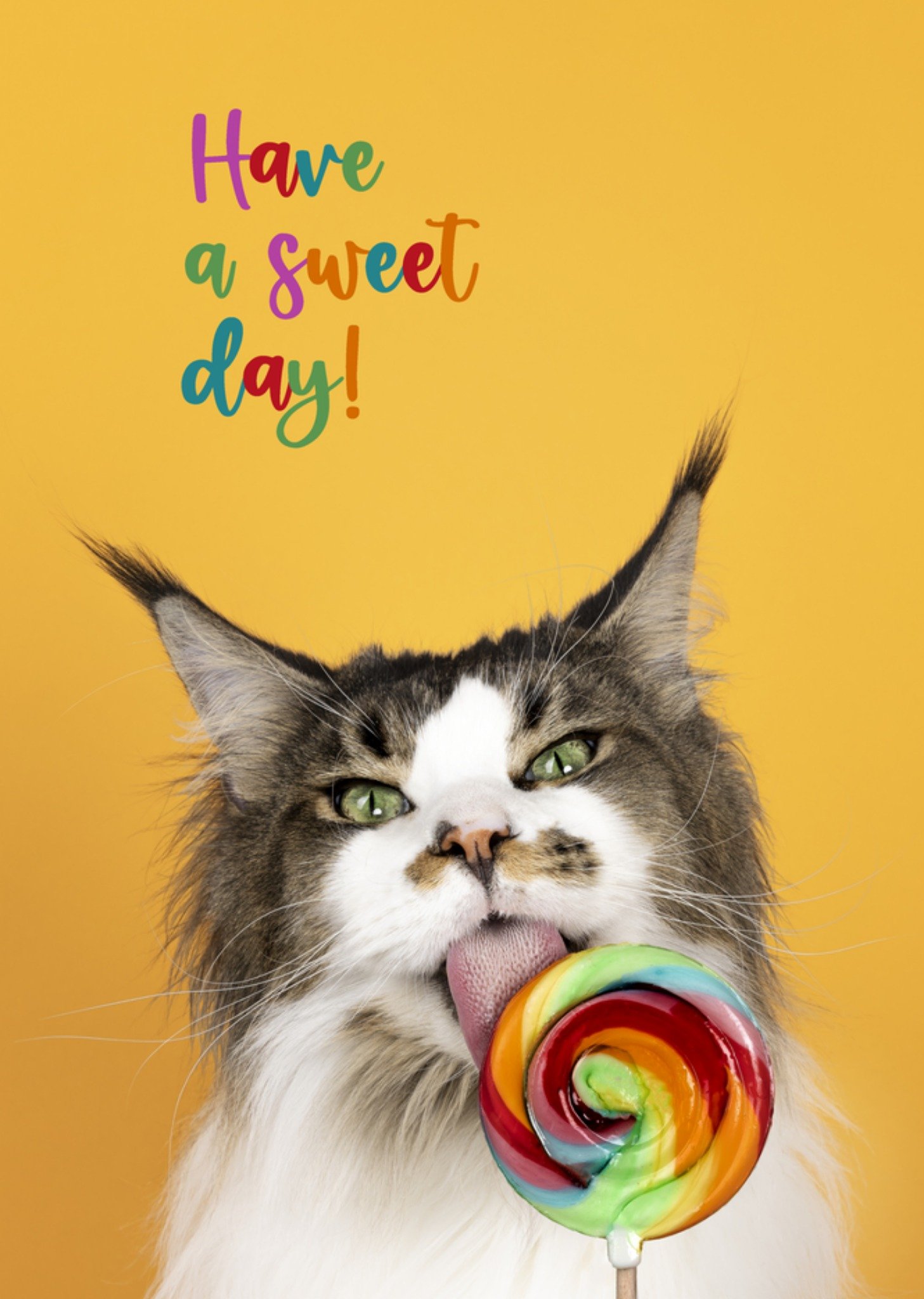 Catchy Images - Verjaardagskaart - kat