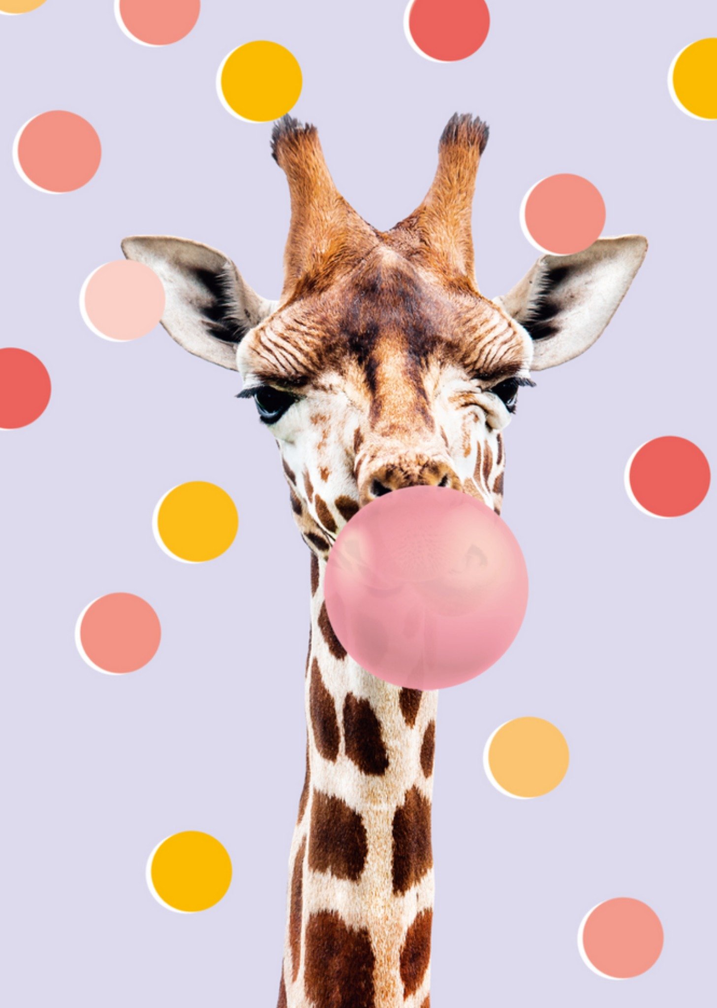 TMS - Geboorte - Giraf - Illustratie