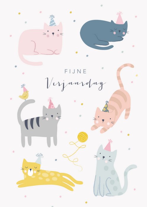 Klara Hawkins | Verjaardagskaart | katten