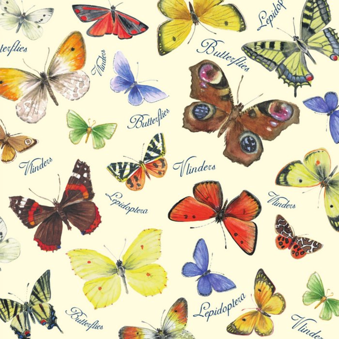 Kaart met gekleurde vlinders en tekst 'vlinders'