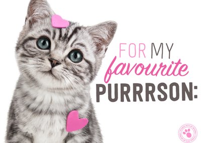 Studio Pets | Valentijnskaart | Favourite purrrson