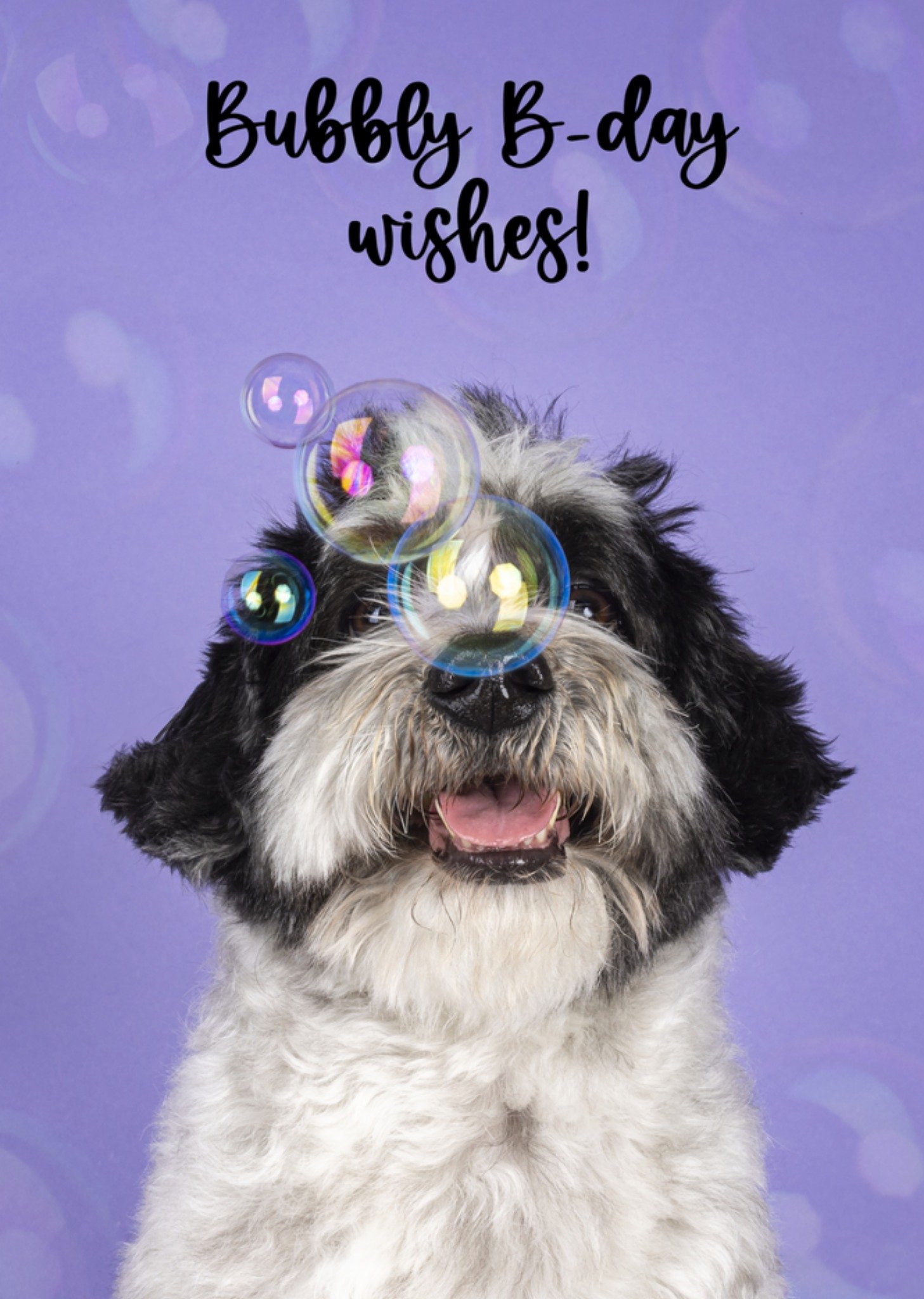 Catchy Images - Verjaardagskaart - hondje - bubbels