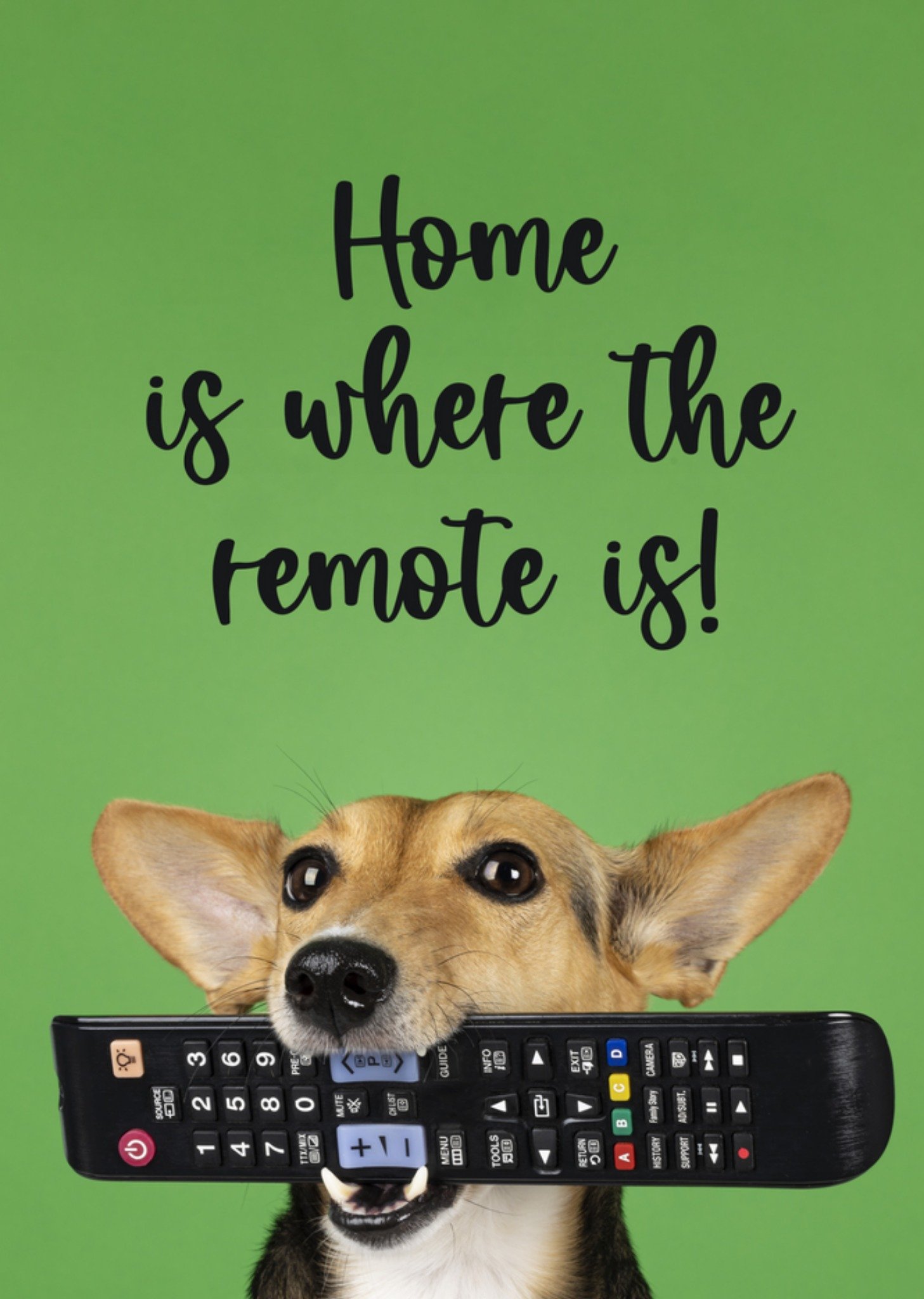 Catchy Images - Nieuwe Woning kaart - home is where the remote is - hond