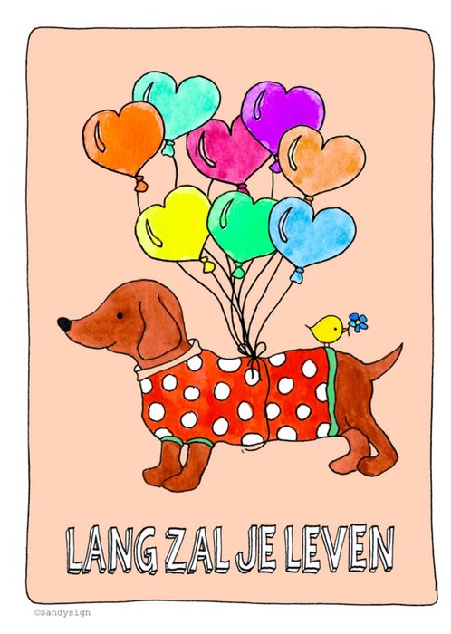 Sandysign | Verjaardagskaart | tekkel | ballonnen