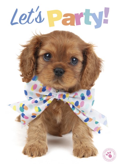 Studio Pets | Verjaardagskaart | let's party