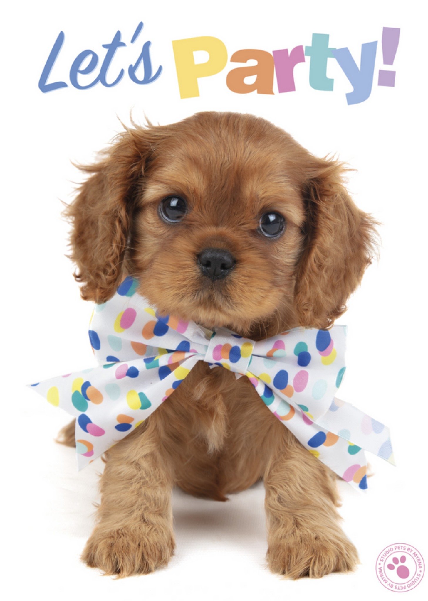 Studio Pets - Verjaardagskaart - let's party