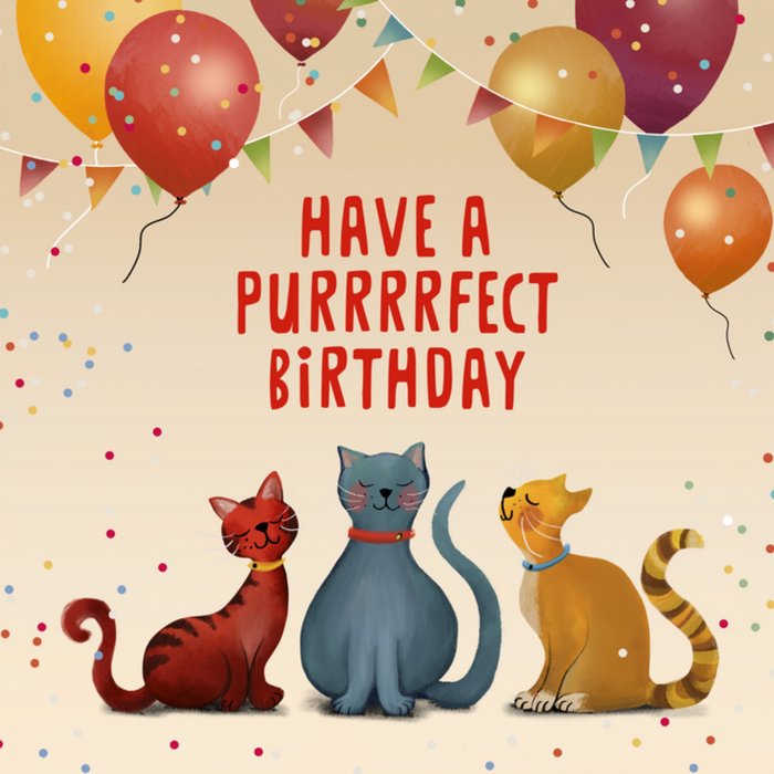 Patricia Hooning | Verjaardagskaart | Katjes | Purrrrfect birthday