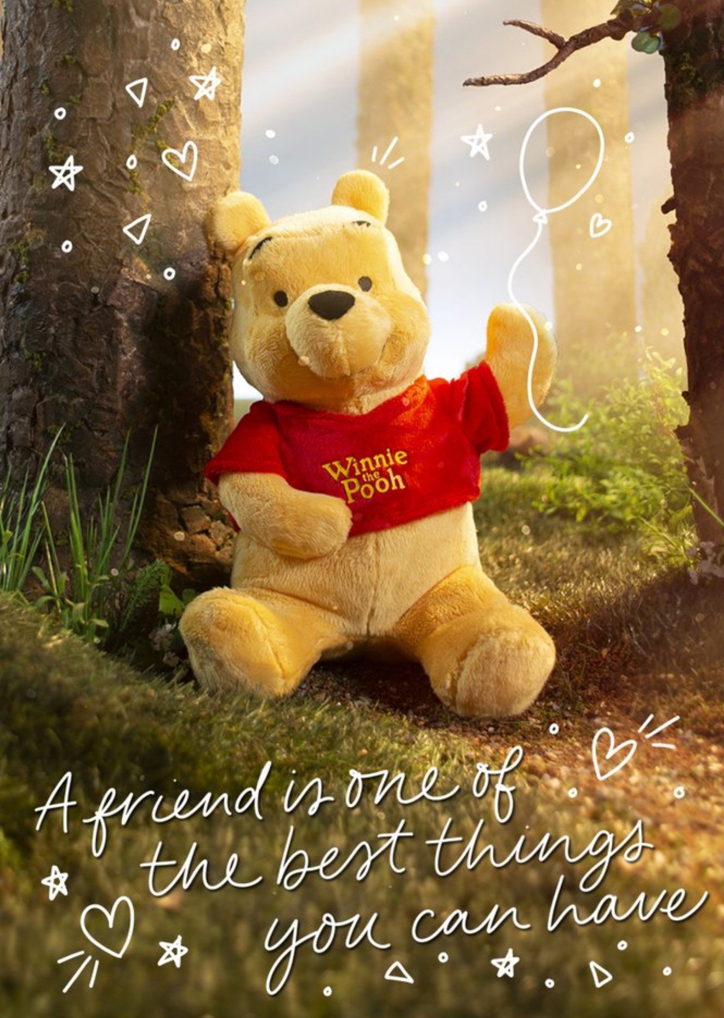 Winnie the Pooh - Verjaardagskaart - pooh